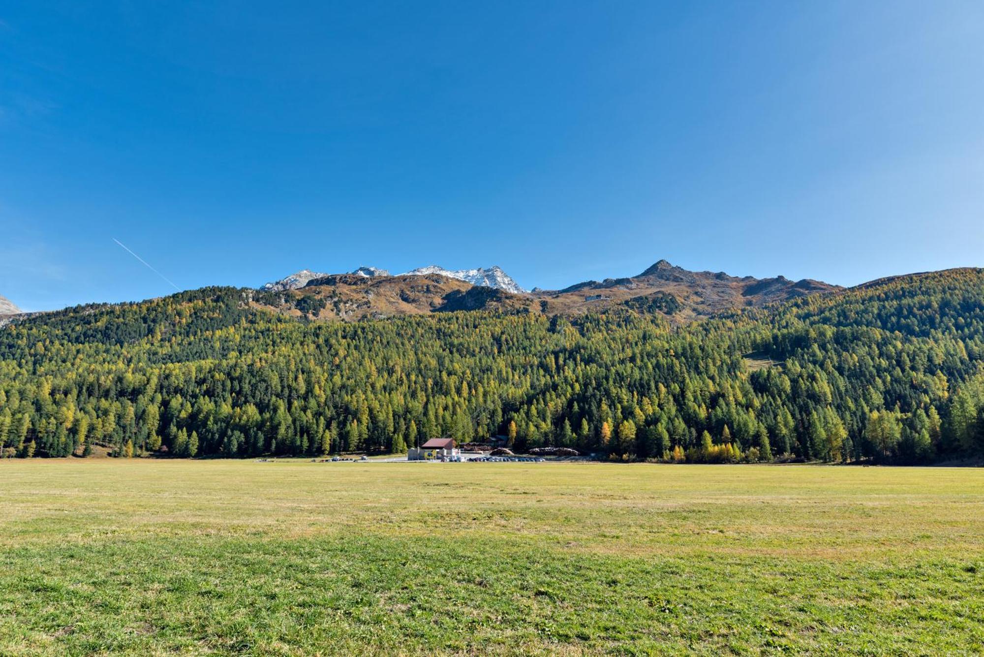 Chesa Allegria - Sils-Maria Exterior foto
